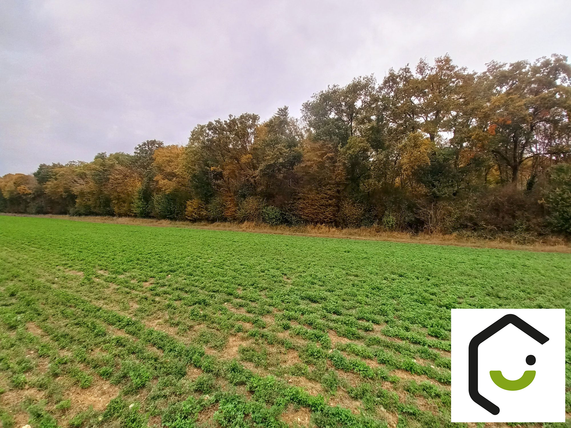 1760714122_VT116_2_original