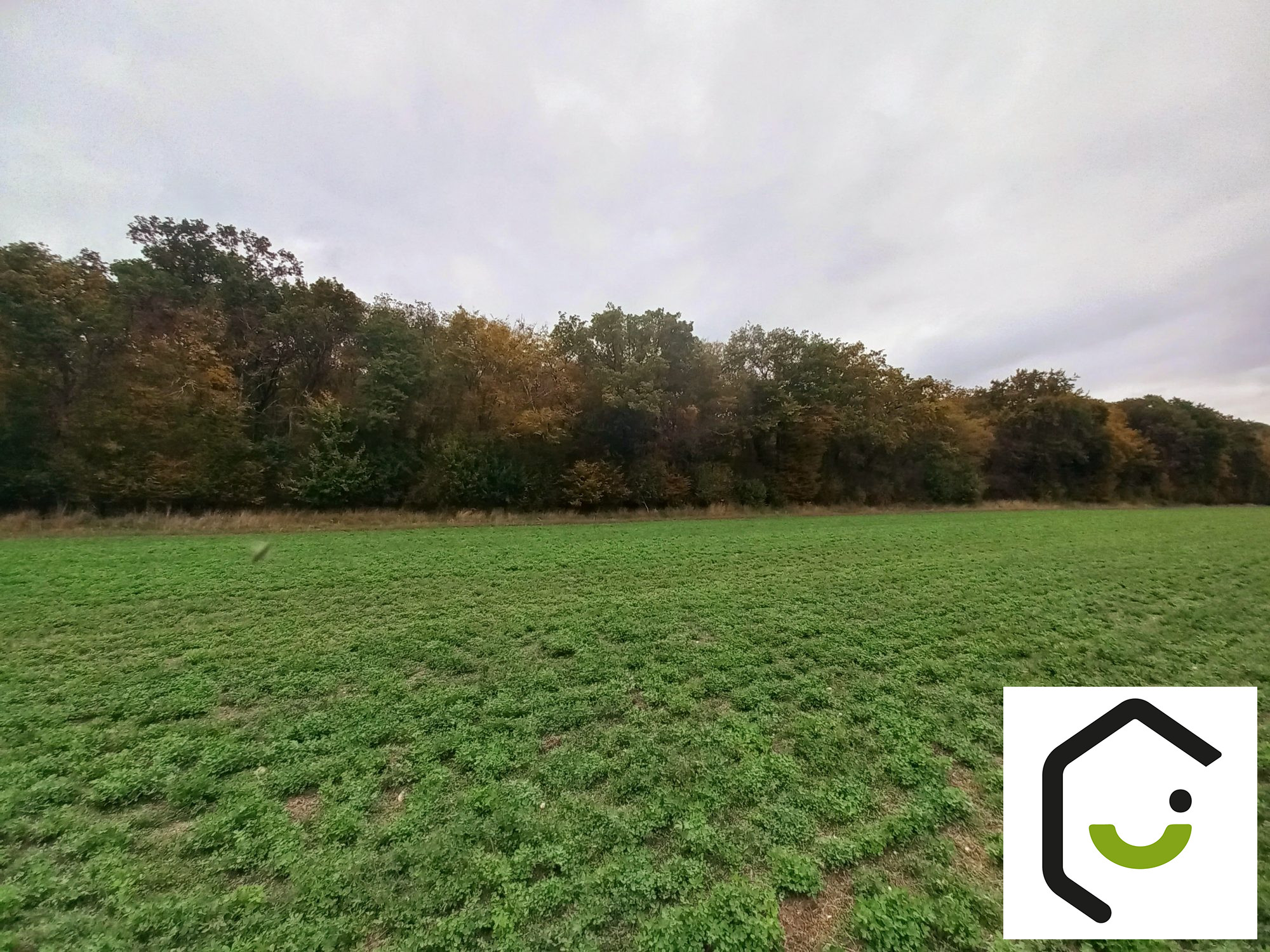 1760714126_VT116_3_original