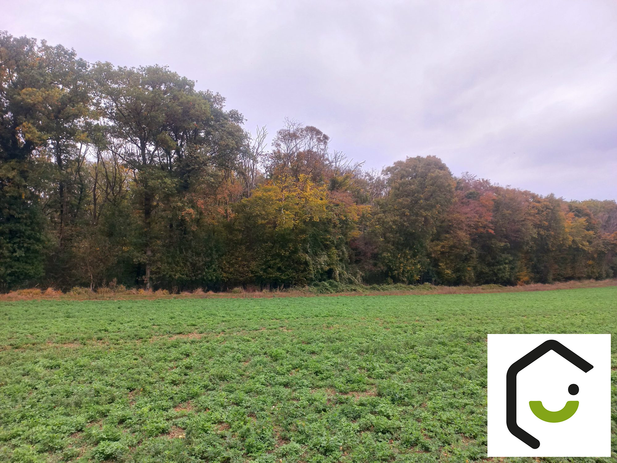 1760714131_VT116_4_original