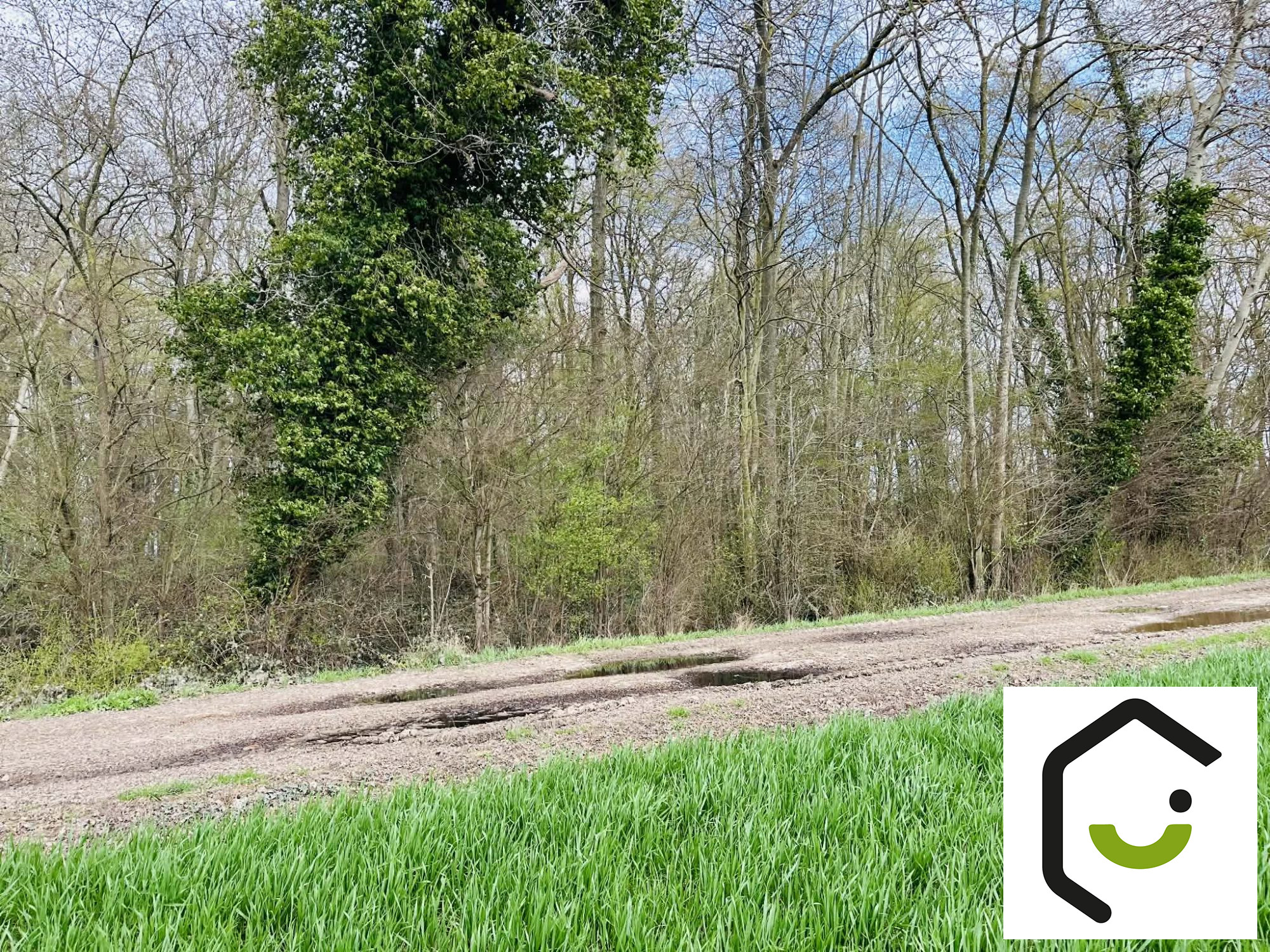 1773330112_VT124_1_original