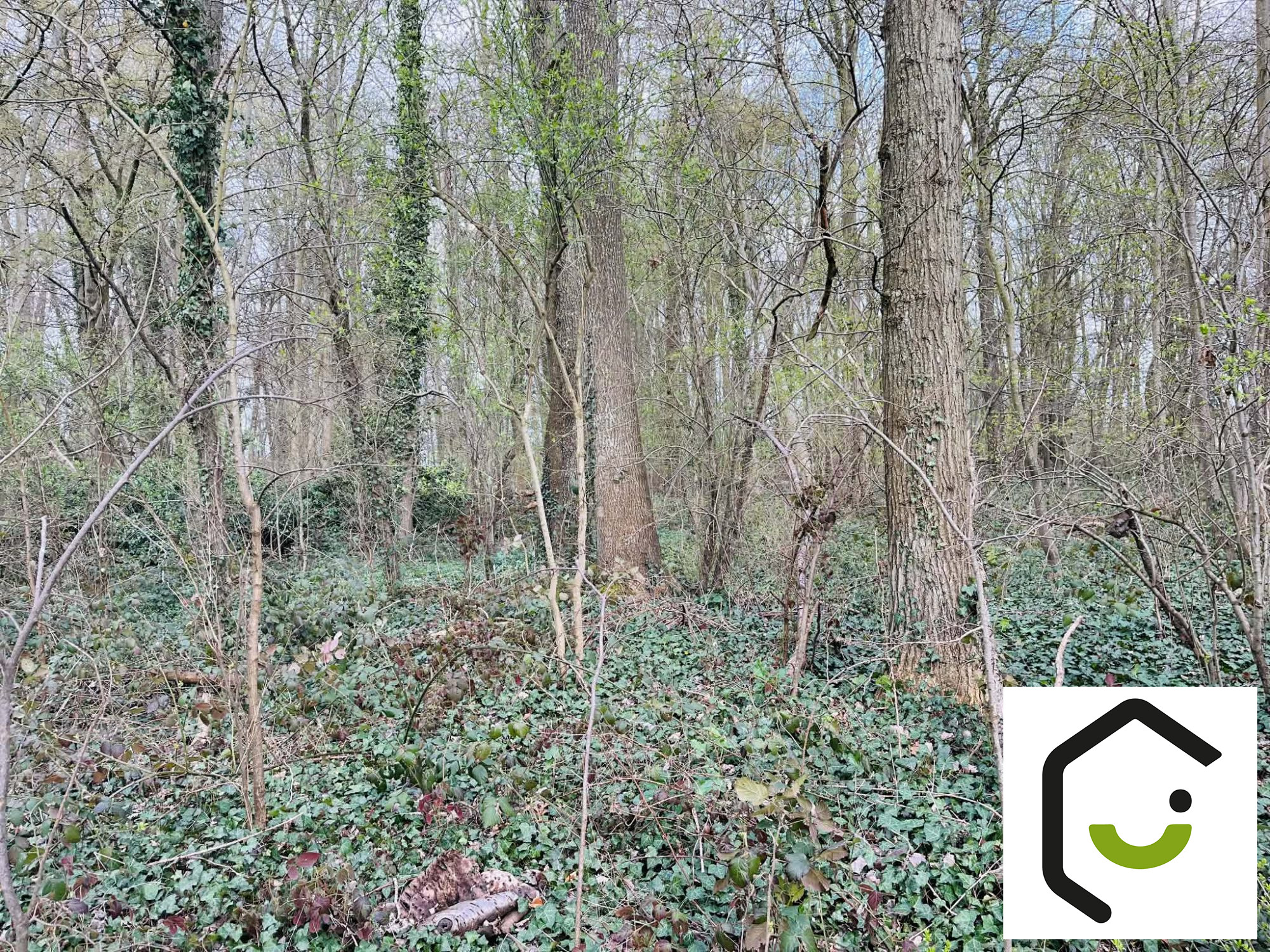 1773330113_VT124_2_original