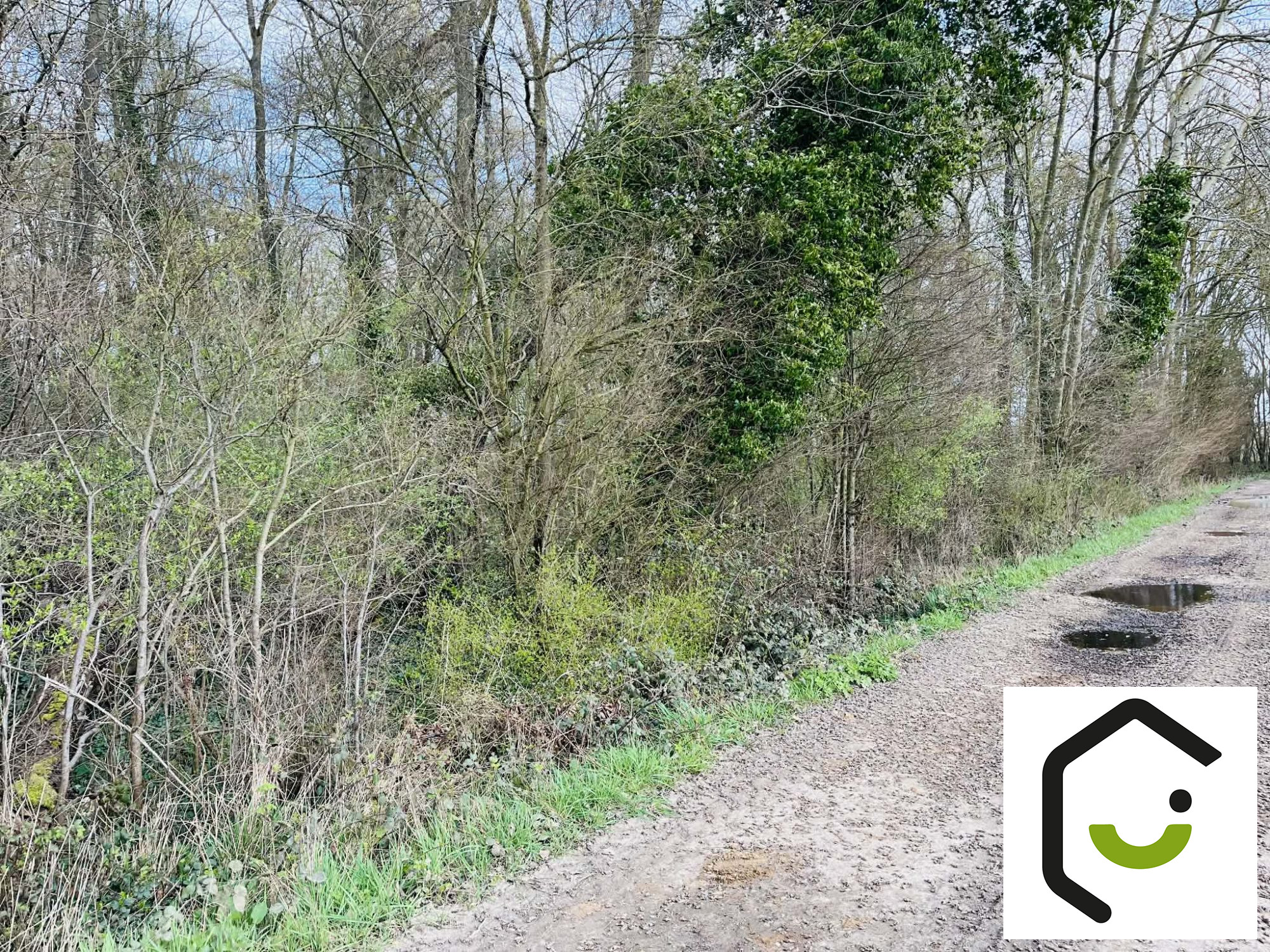 1773330114_VT124_3_original